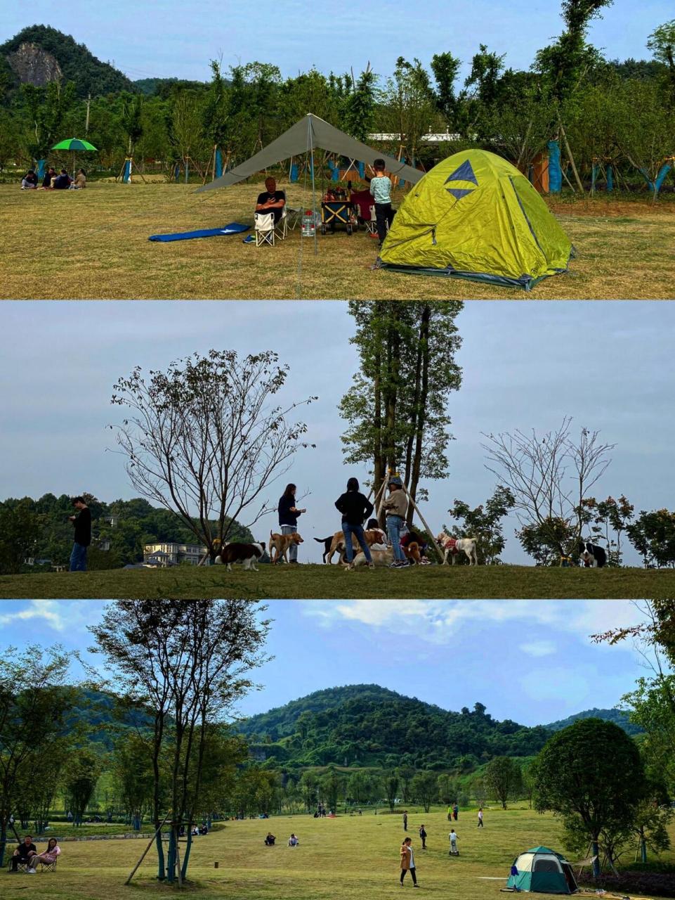 99地址:景区位于九龙坡玉清寺后面的中梁山上,直接导航"重庆花博园"
