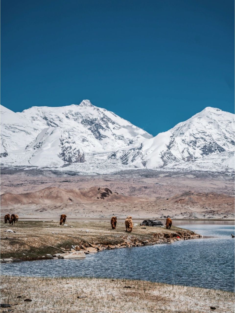 新疆旅游|帕米尔高原的冰山之父慕士塔格峰 从新疆喀什出发,沿着中巴