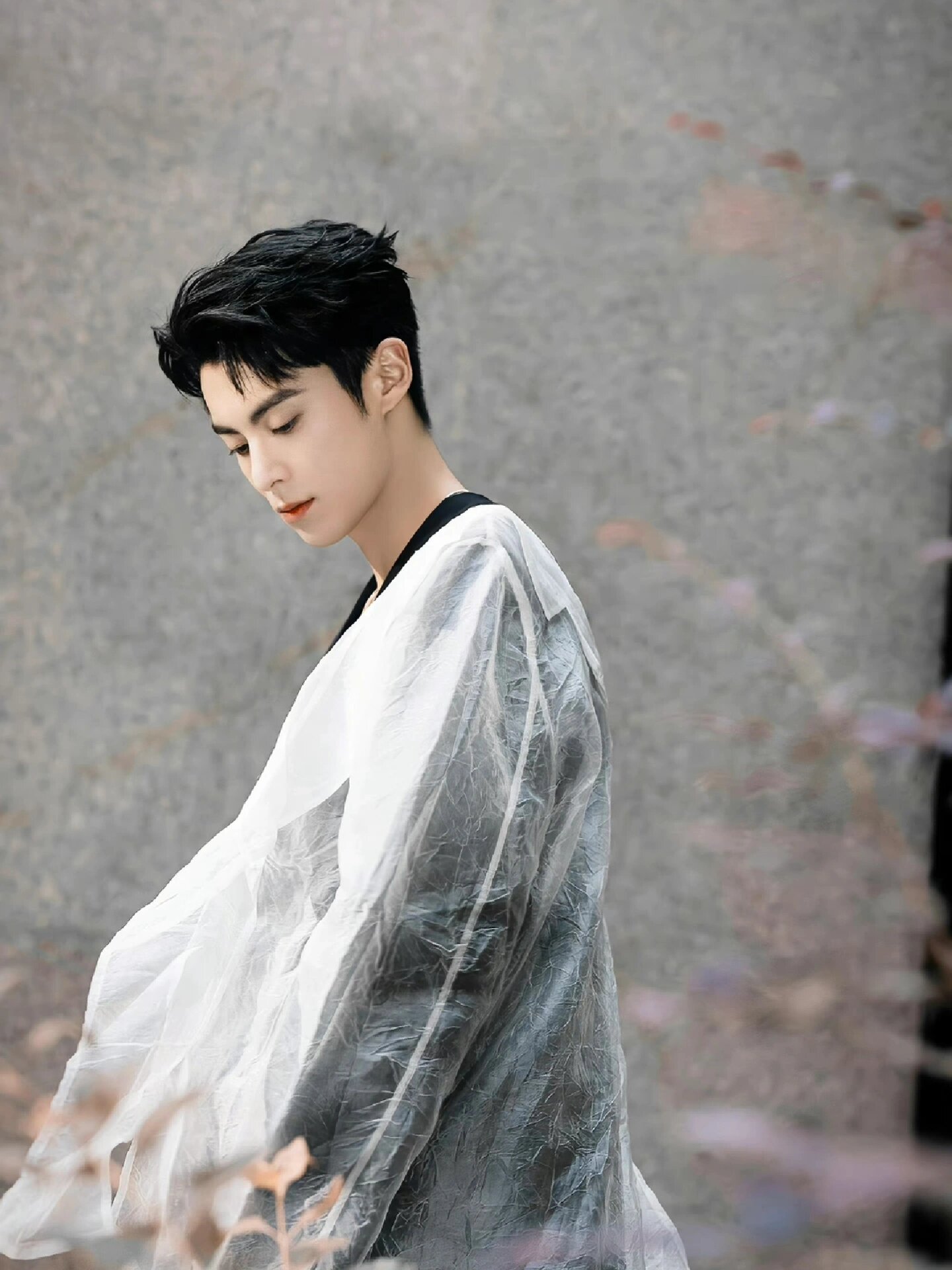 神仙壁纸王鹤棣 #王鹤棣# #棣欣引力# #向全世界安利王鹤棣# #全屏