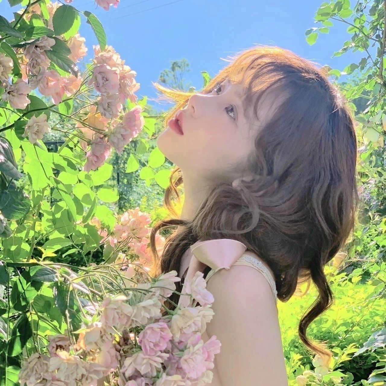 本周最爱头像·傻瓜美女