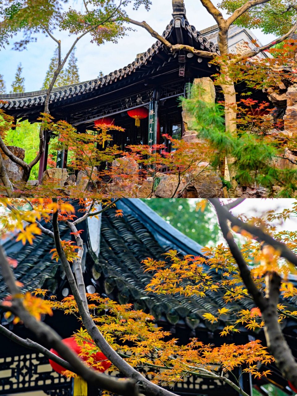 游扬州个园,一天邂逅"四季"美景 最近来到扬州的个园,它是世界文化