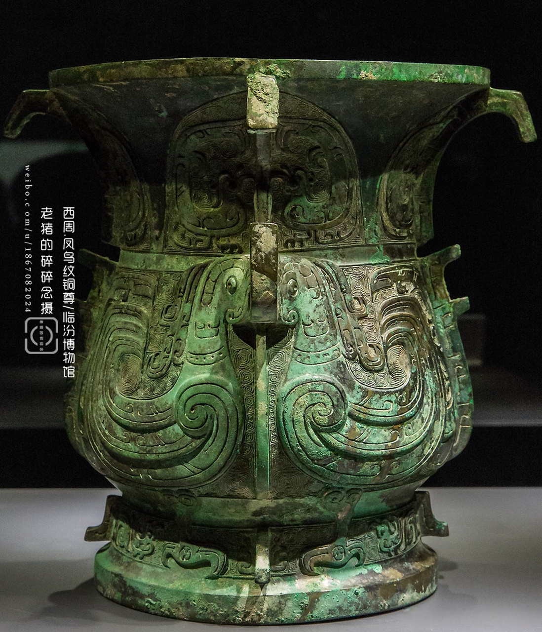 西周.凤鸟纹铜尊/临汾博物馆藏 山西临汾翼城县大河口西周墓地出土