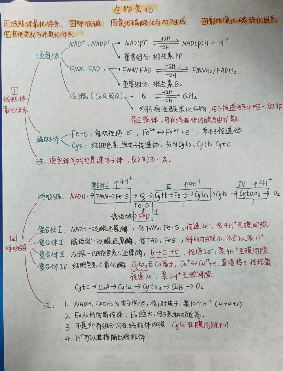 氧化物的思维导图图片