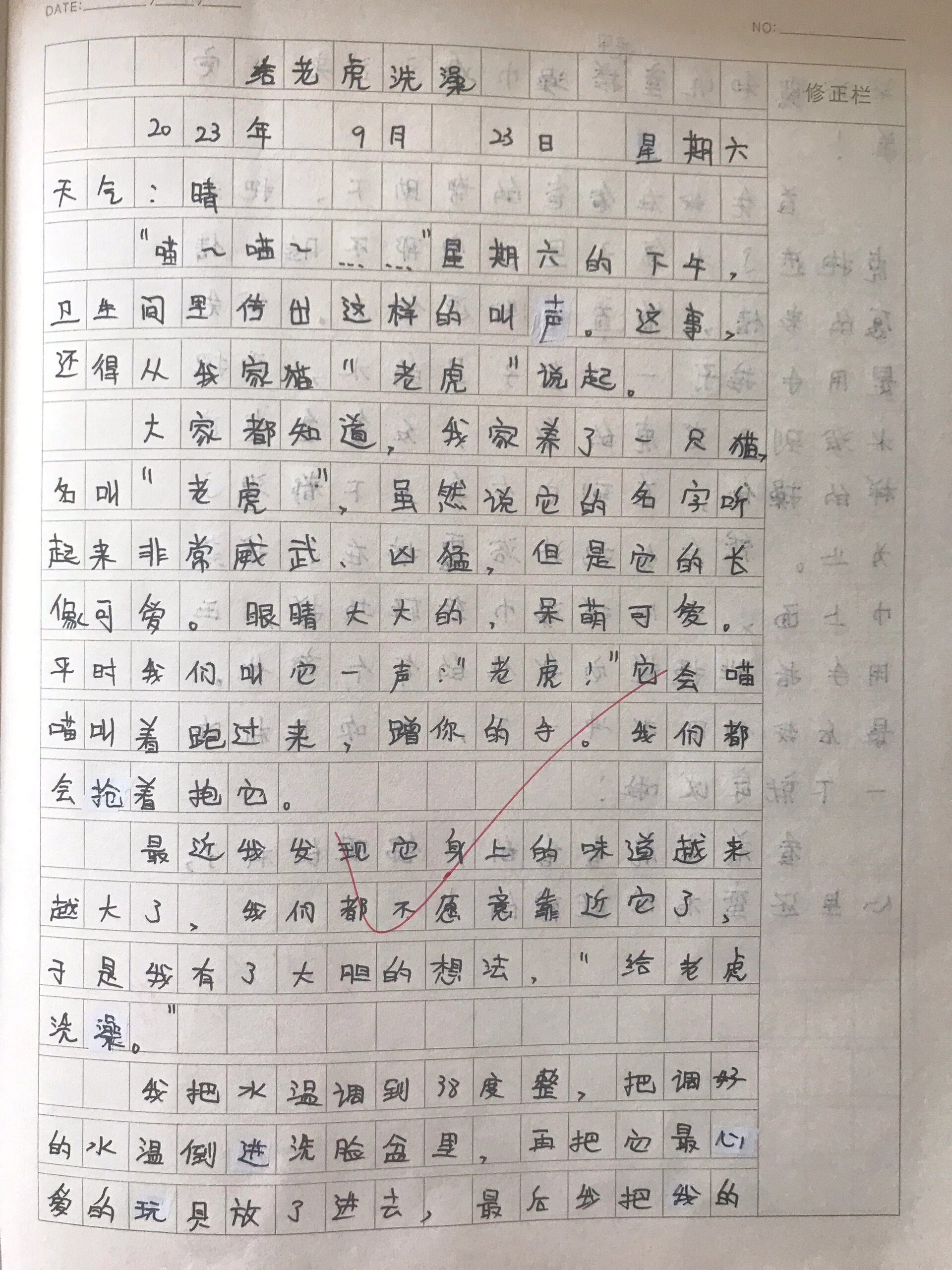 日记500字30篇可抄图片