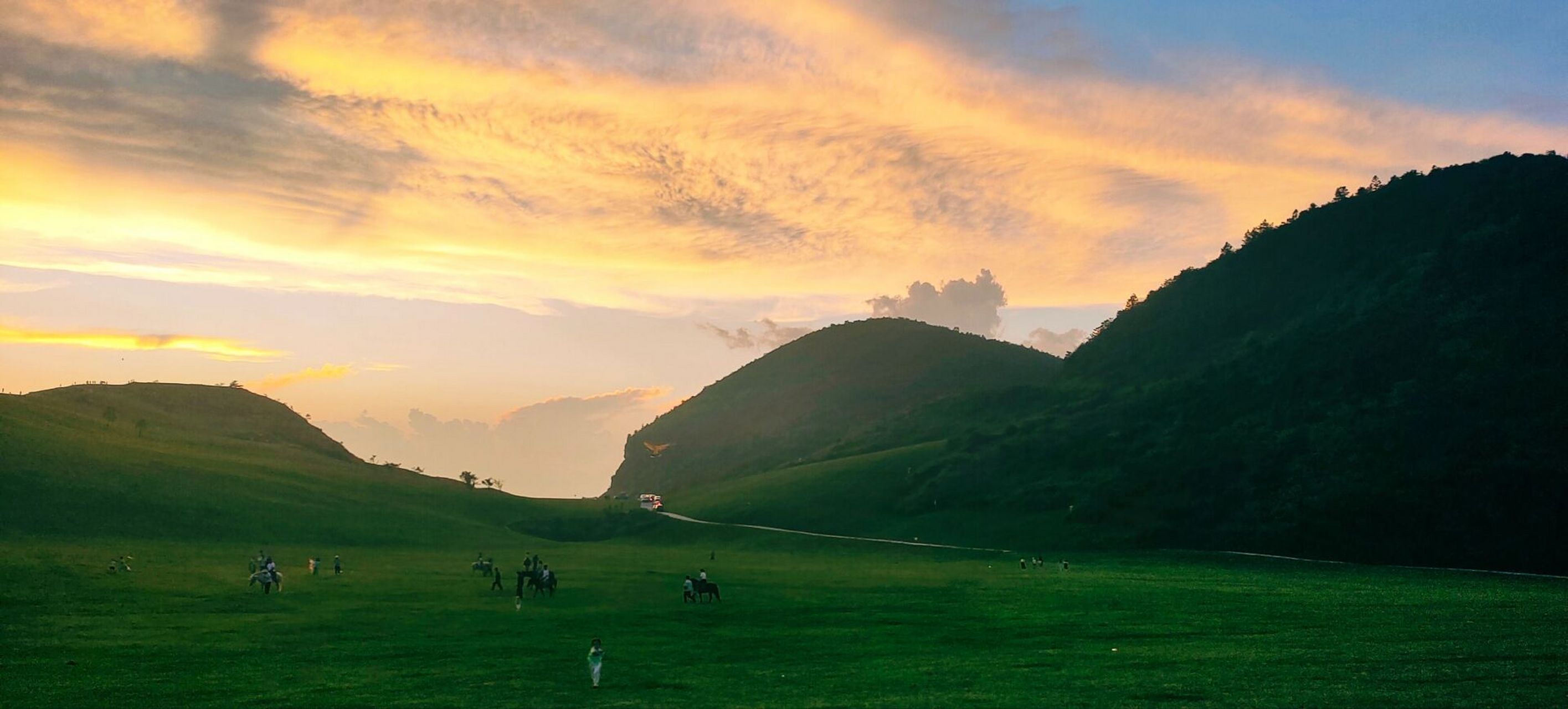 前面是在菖蒲大草原景区北门进口的地方拍摄的!