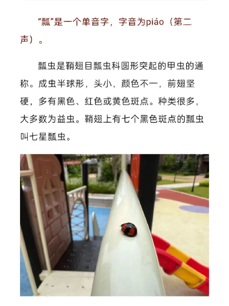 瓢虫的"瓢"怎么读?