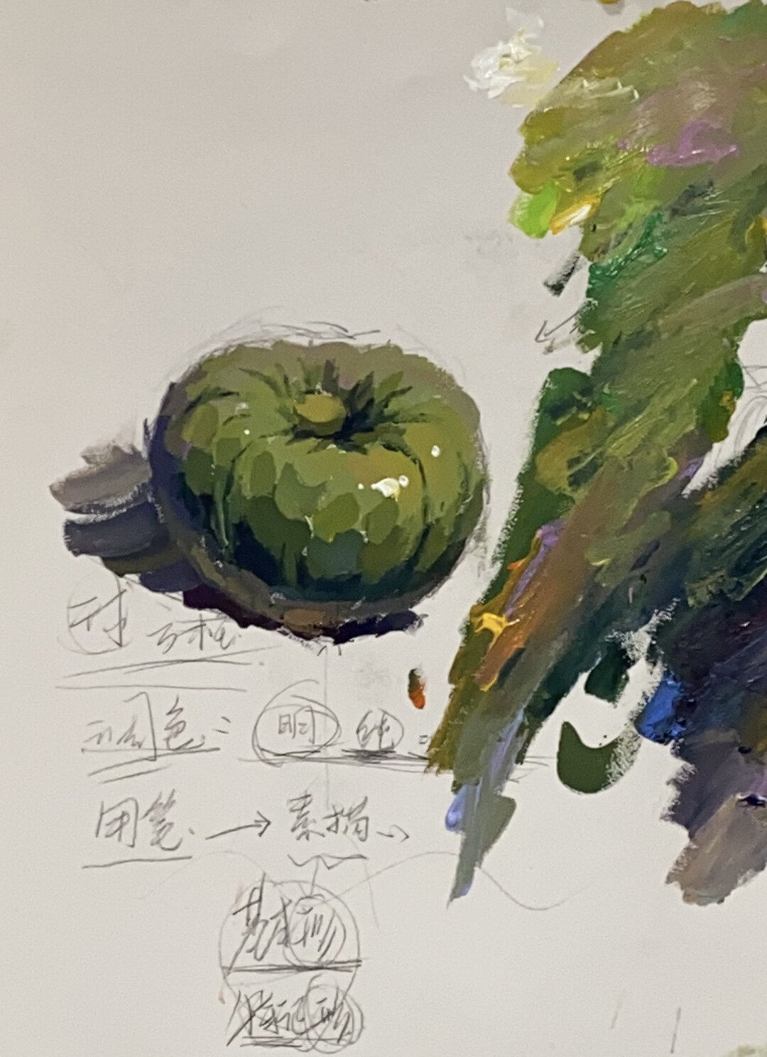 色彩静物 绿色南瓜单体