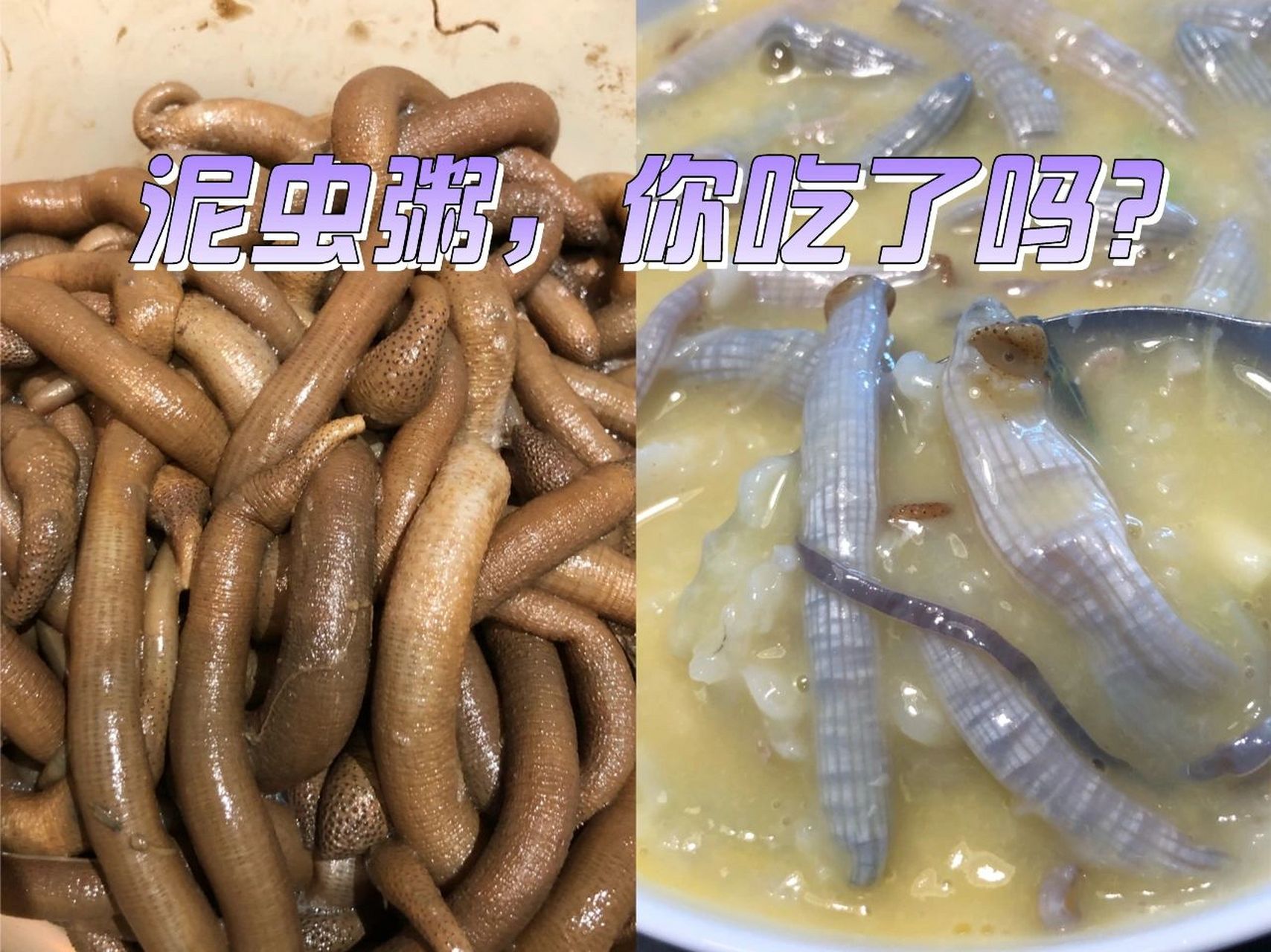 北海人最爱吃的虫子—泥虫91 北海两大虫子一个沙虫,一个泥虫 生