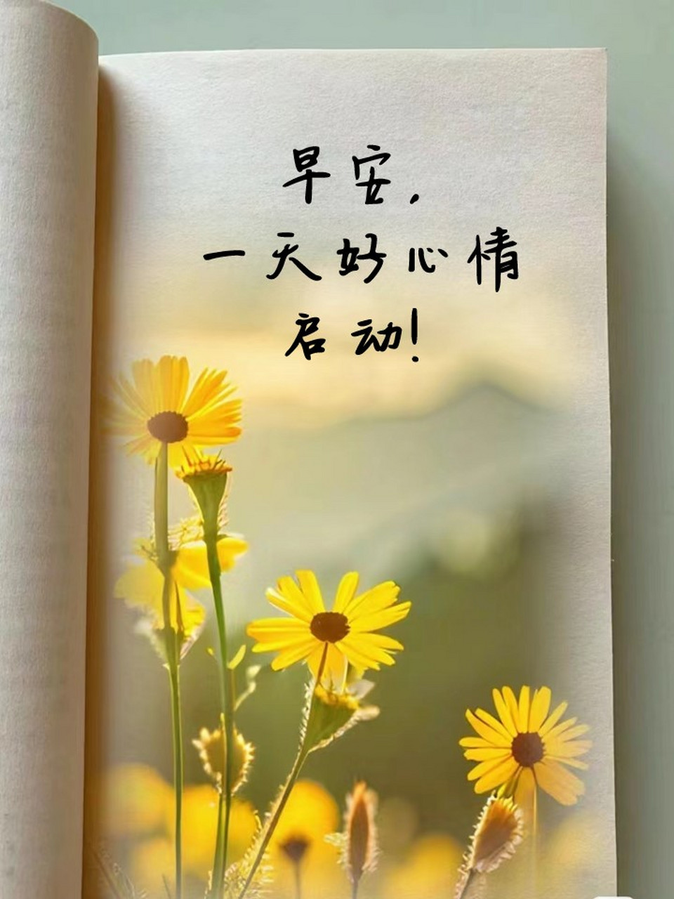 早安问候的暖心句子早上好 🌈清晨阳光,愿你心情舒畅.