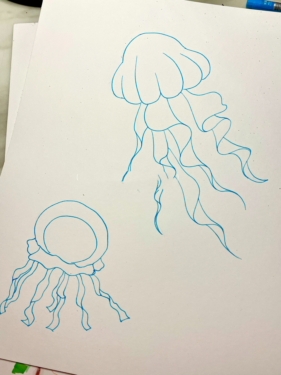 水母马克笔画图片