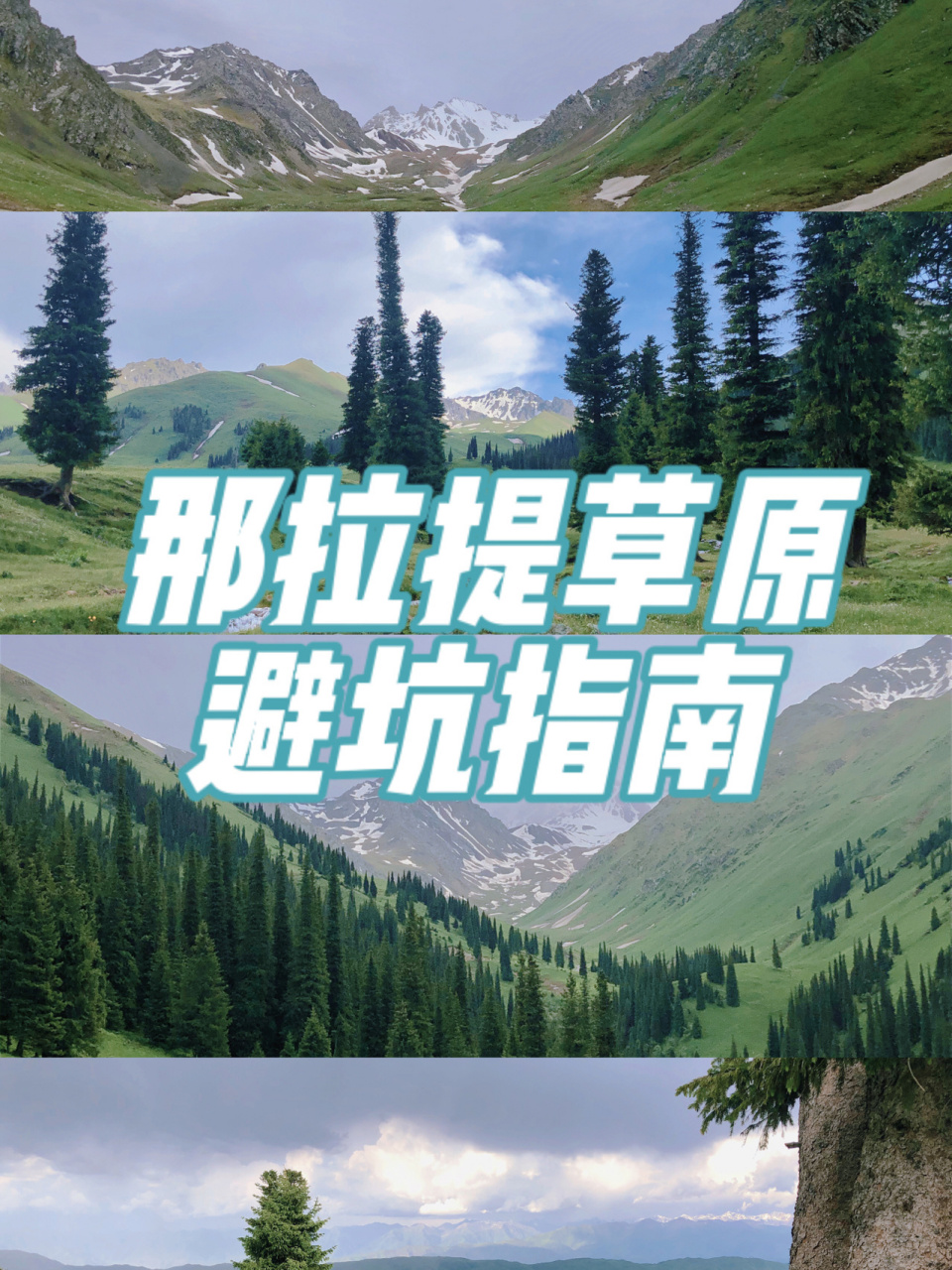 逃离城市计划|那拉提草原避坑指南 16615自驾门票300元/人266