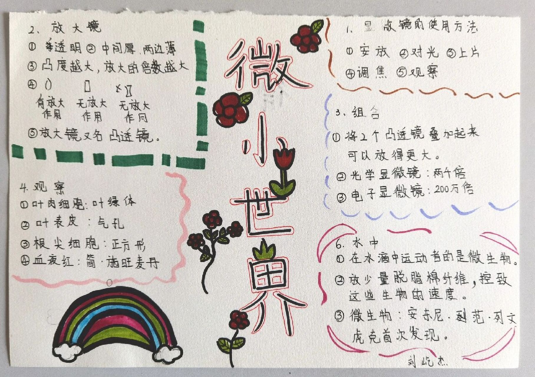 2022年新版教科版科学六年级上册,第一单元《微小世界》思维导图