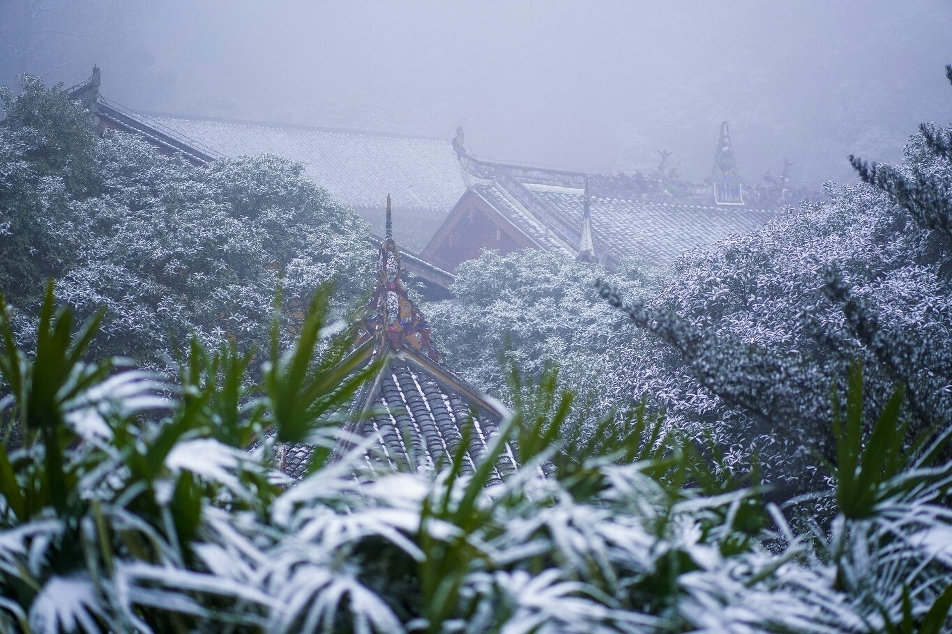 缙云山最近下雪了7615距离重庆市区不远,是周边赏雪很好的选择