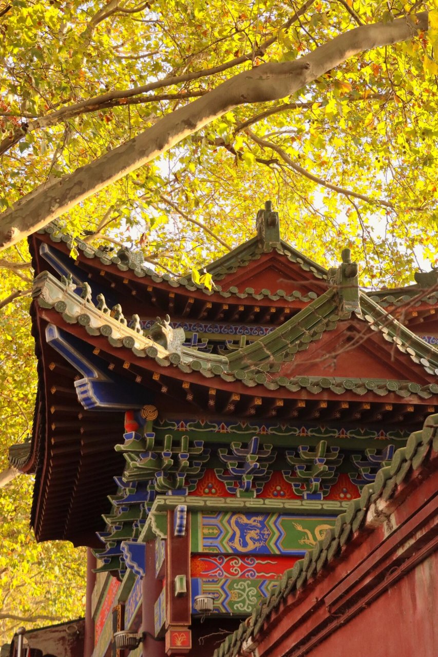 九江观音阁也太出片了吧91 秋日的暖色调和暗红色的建筑适配度100%