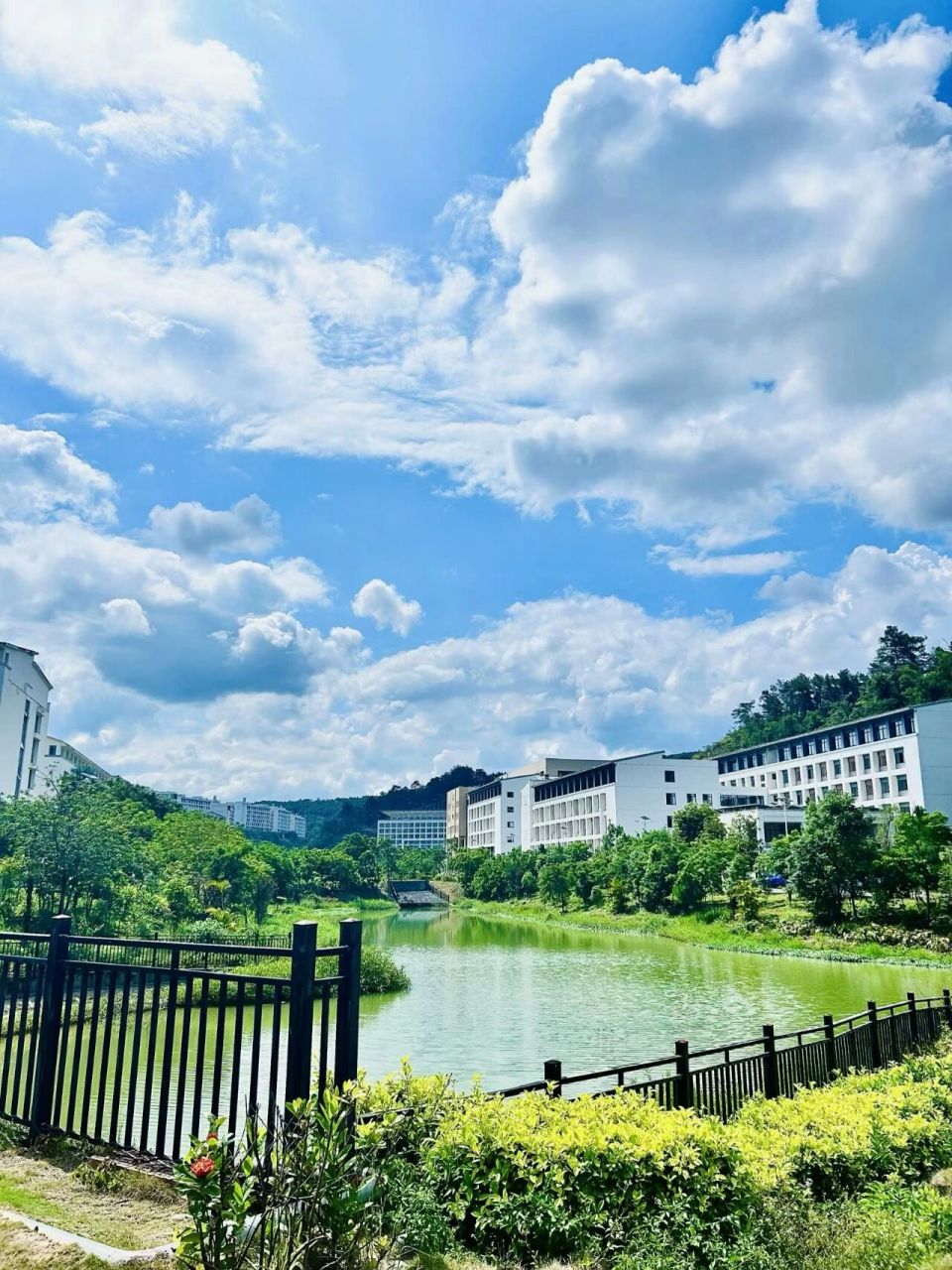 百色学院 学风图片