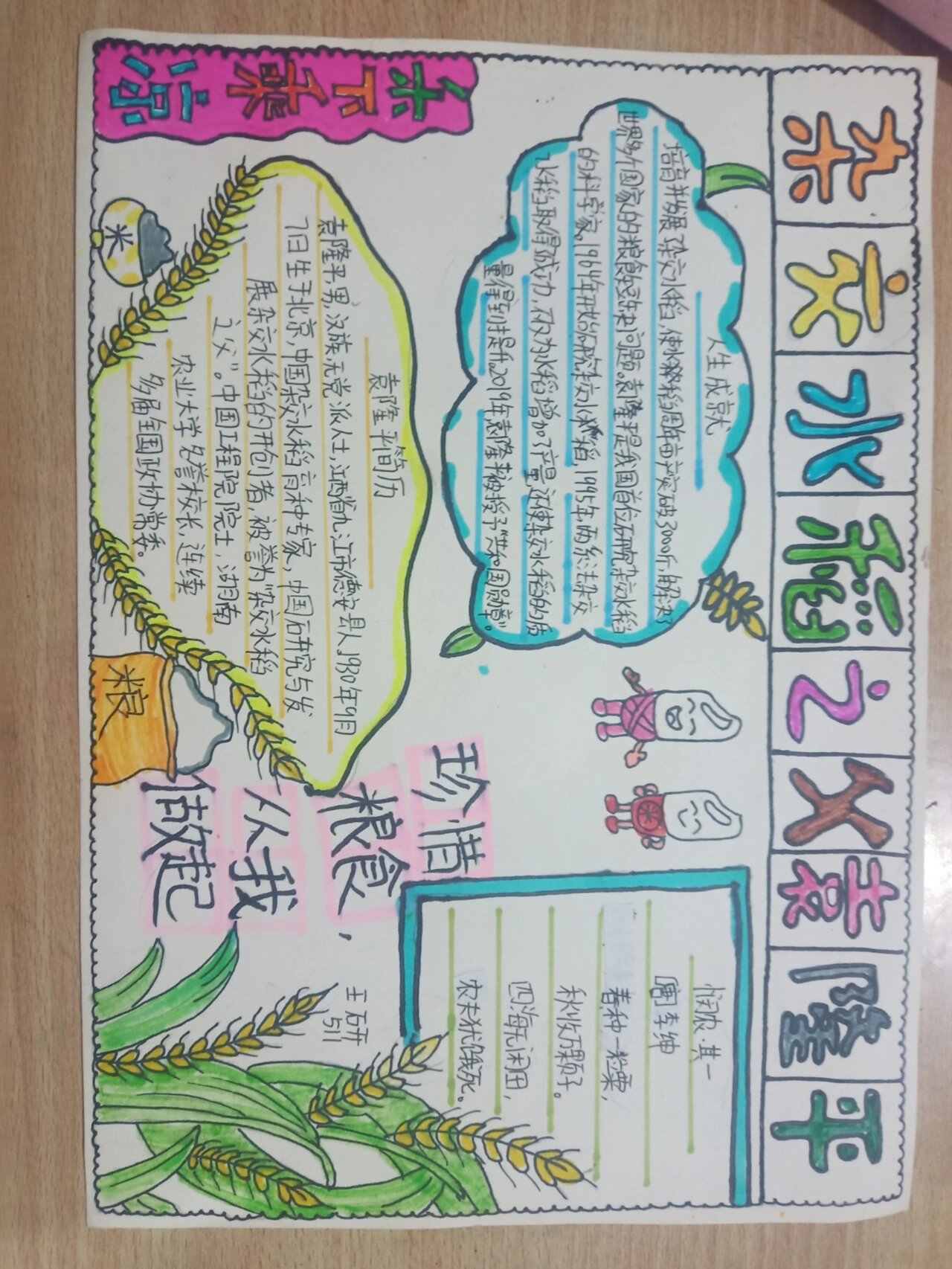 杂交水稻之父袁隆平手抄报