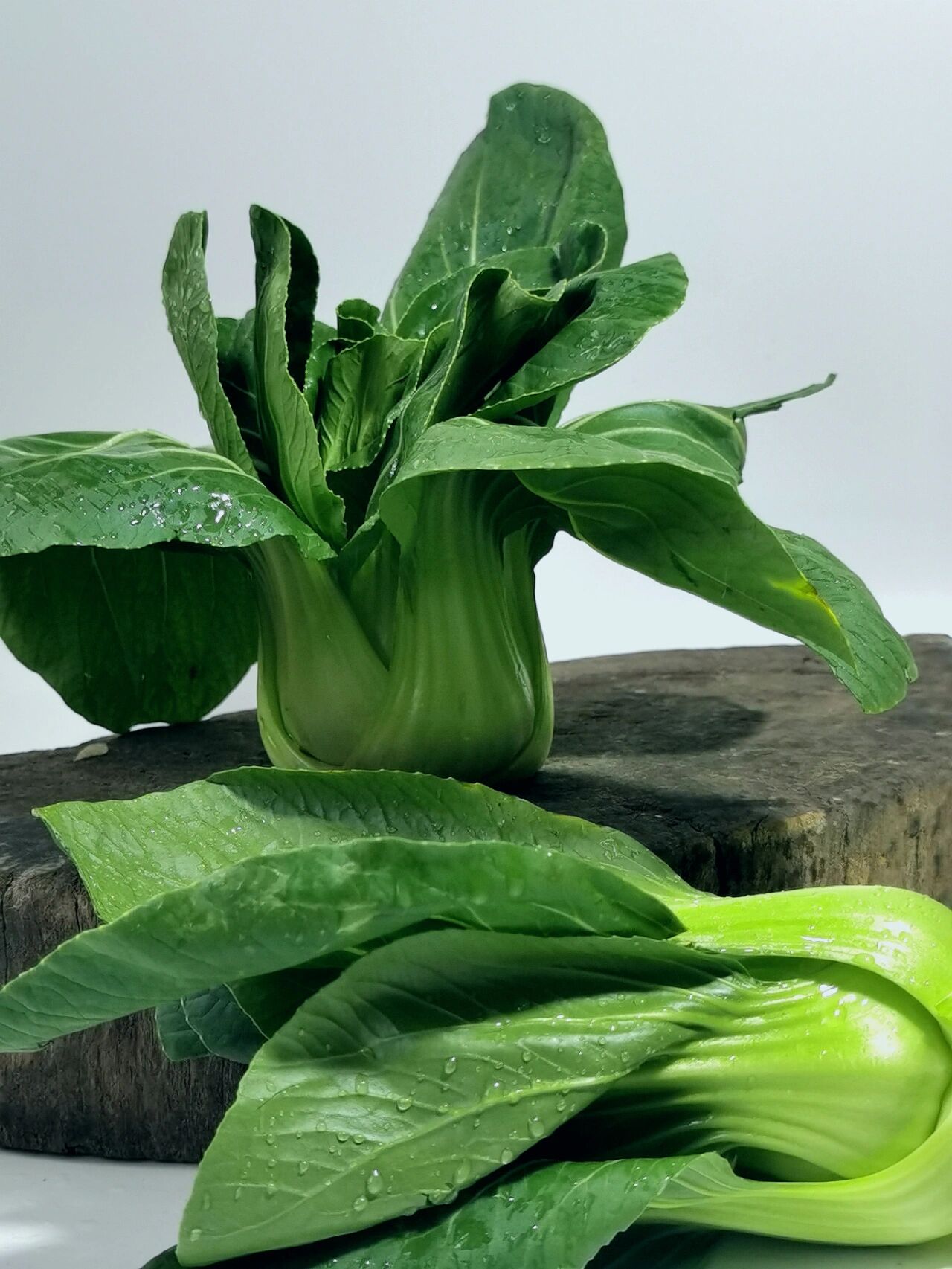 绘画素材——青菜