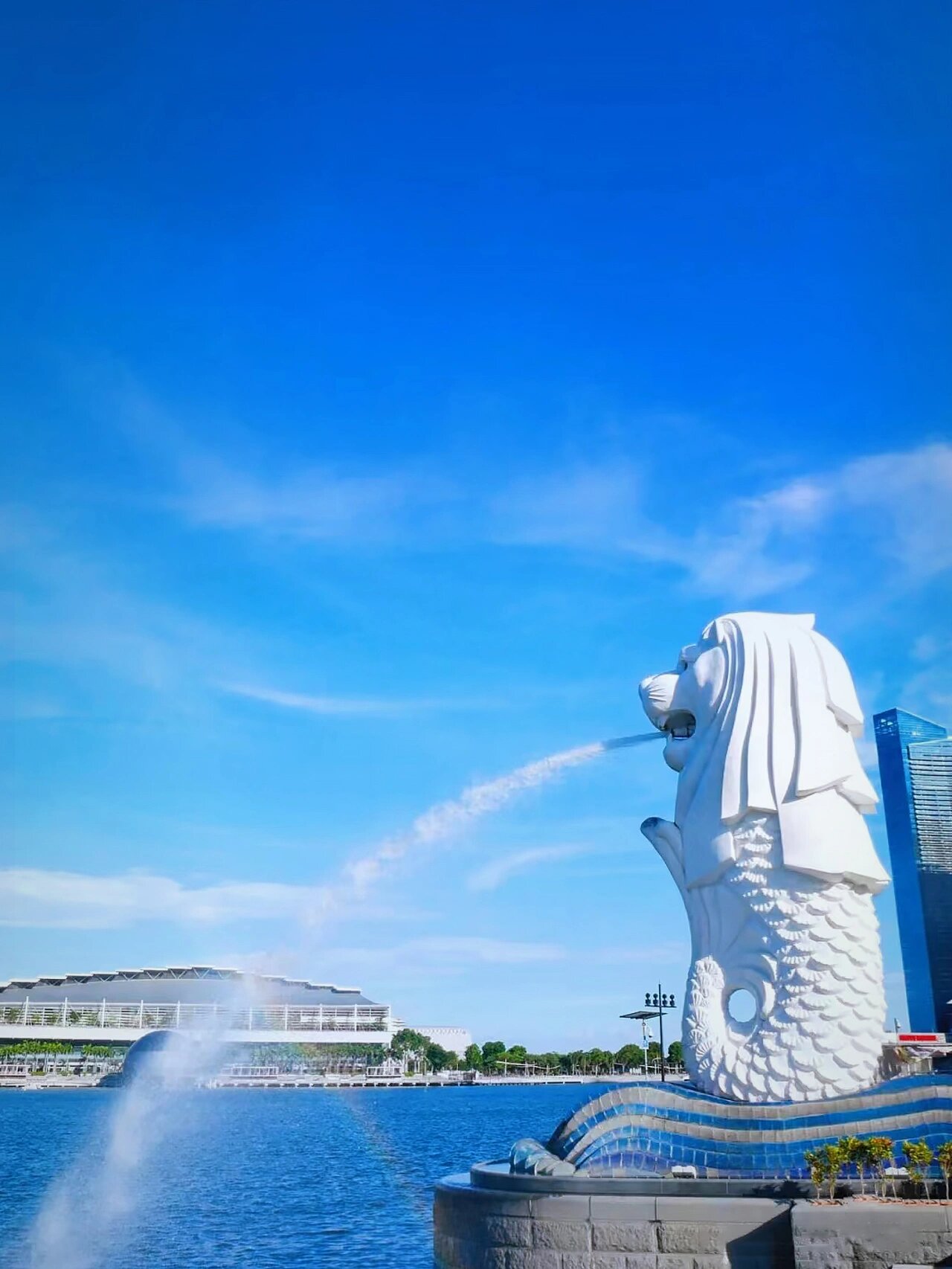 新加坡必打卡6大景点,去前必看6015 94被誉为"花园城市"的