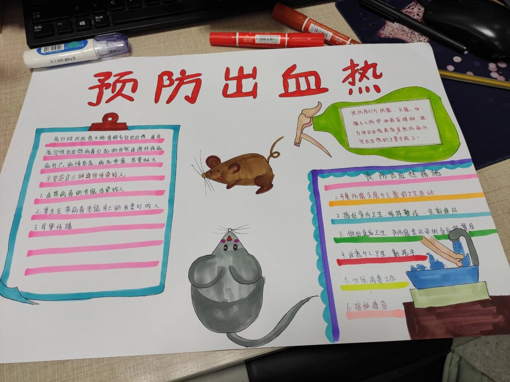 预防出血热手抄报