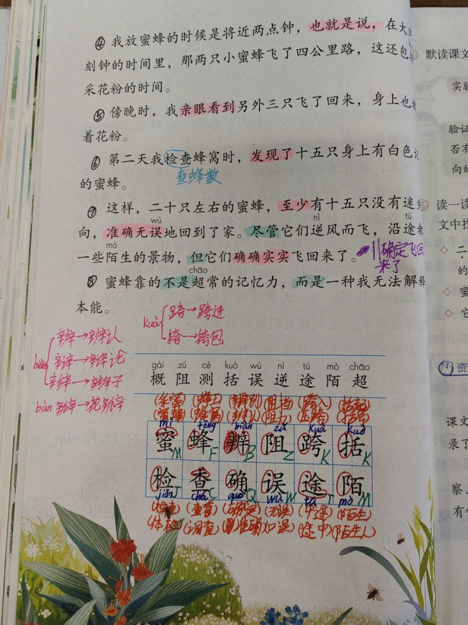 《蜜蜂》板书和课堂笔记 发迟了