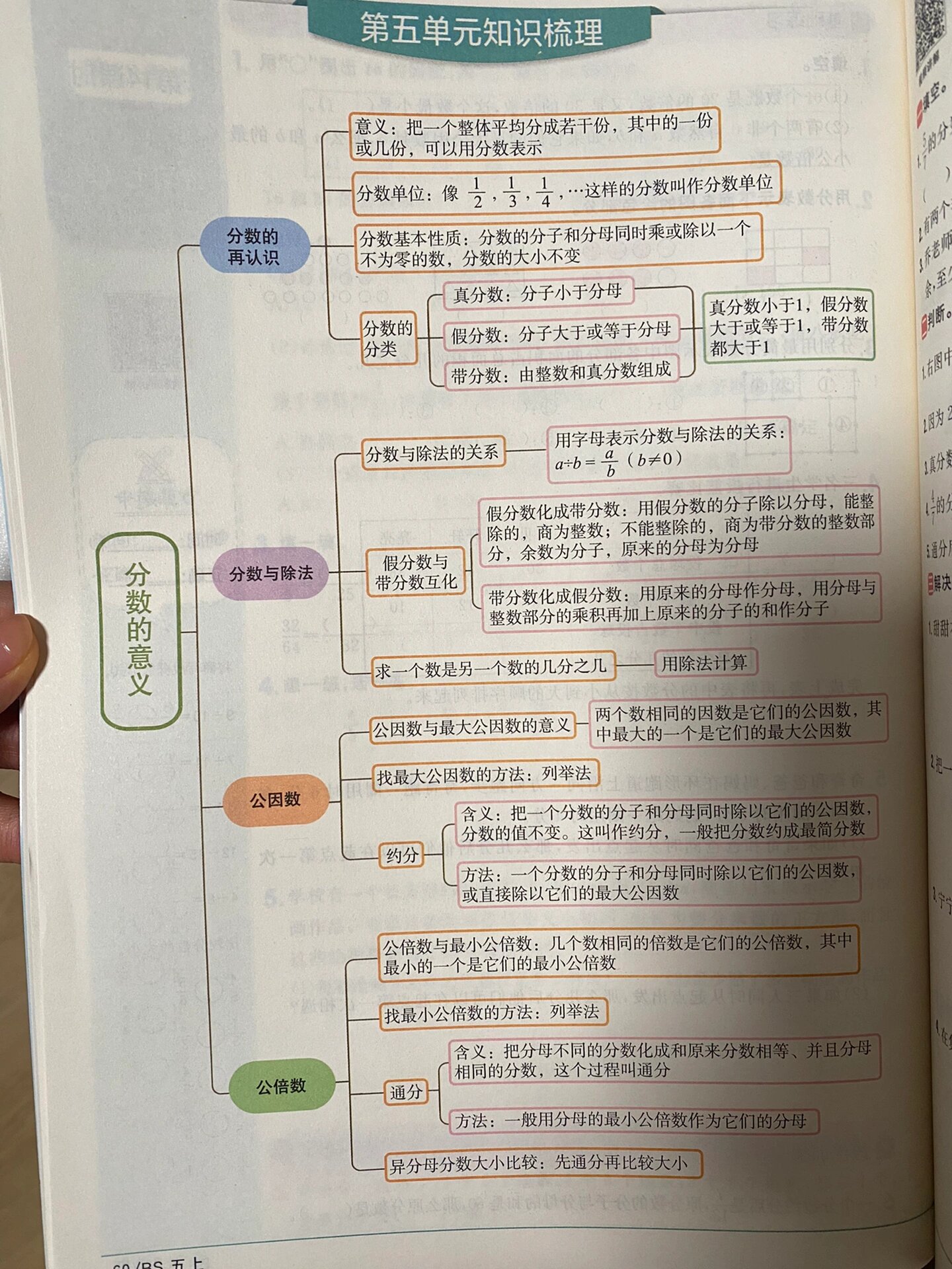 分数的意义知识梳理