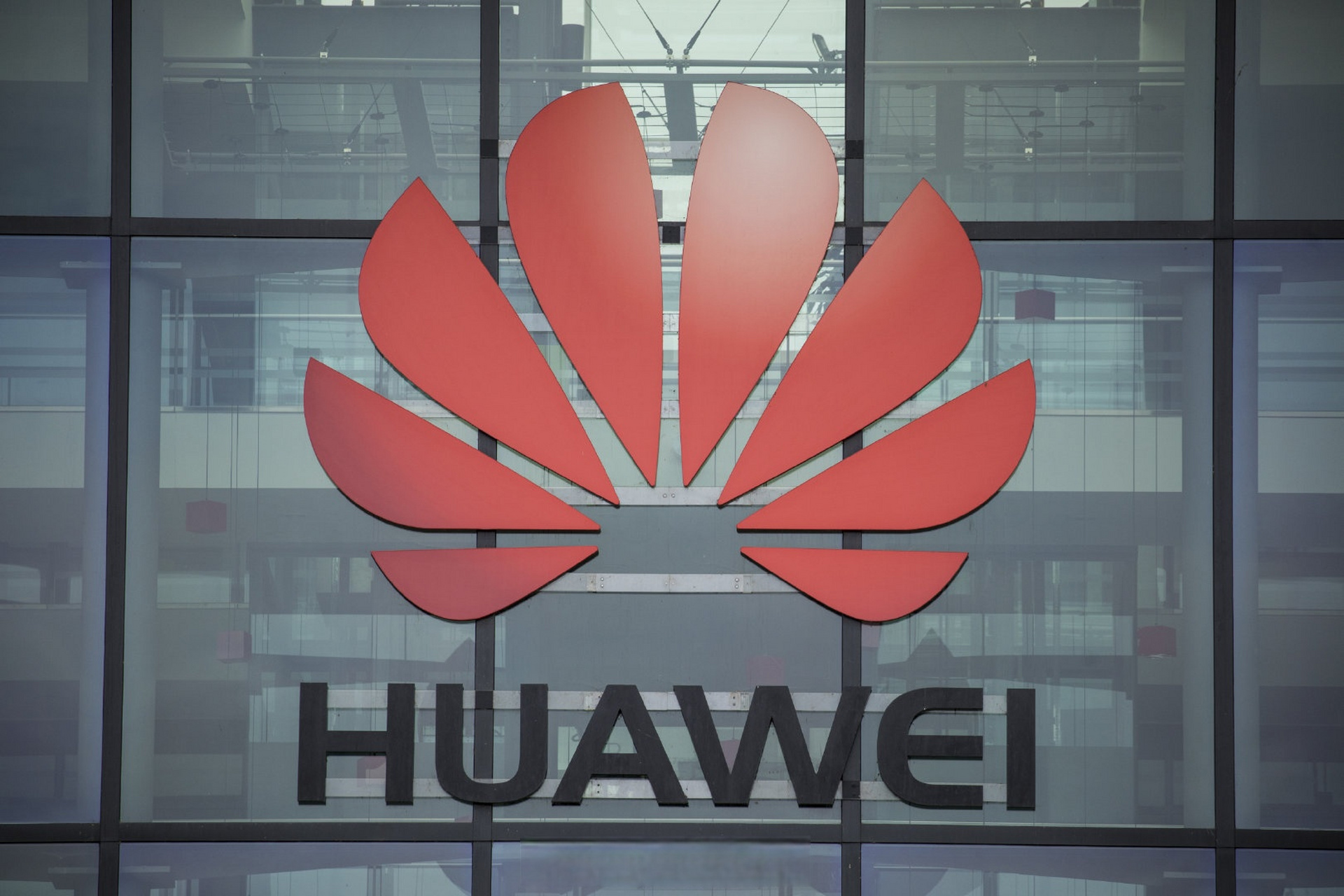 华为花瓣搜索引擎(华为花瓣搜索引擎 petal)