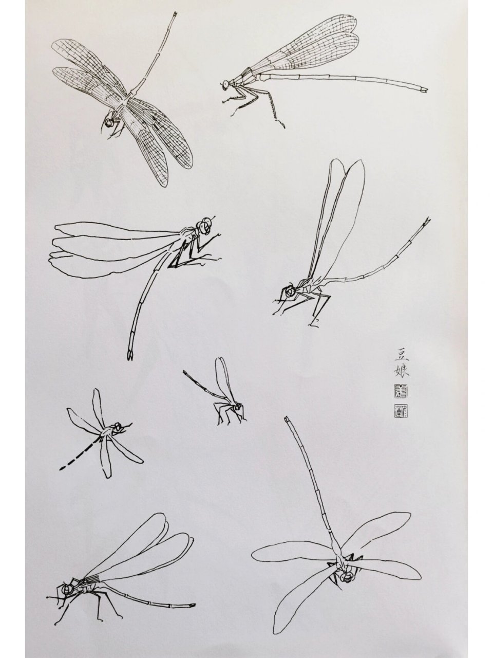 工笔画白描素材线描练习草虫篇 每日一练