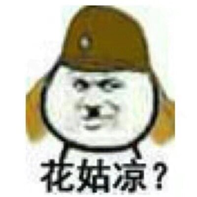 表情包之太君系列