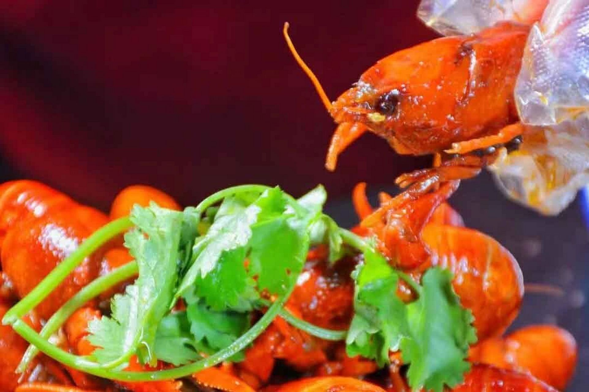 8890 湛江蠔庄 5斤小龙虾套餐 茶位4位 【西樵|湛江蠔庄】88元享