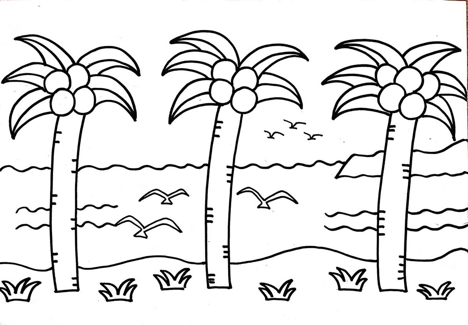海边椰子树儿童画 适合5
