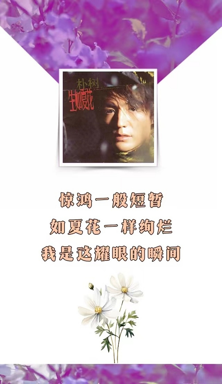 生如夏花歌曲(生如夏花歌曲下载)