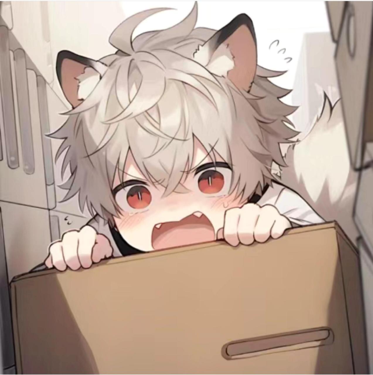 奶狗头像 很喜欢