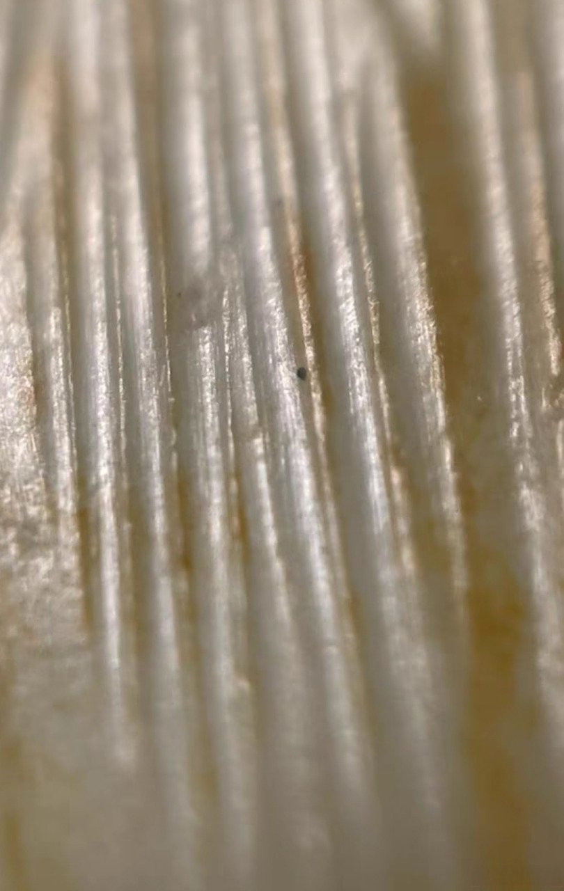 古玉居说玉# 来个砣工痕,大家复习一下.