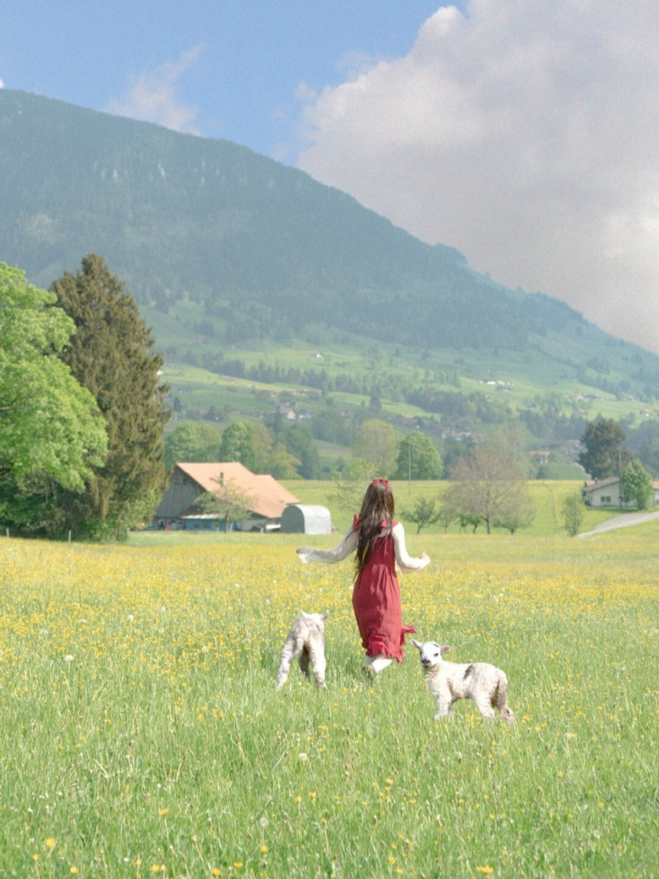 漫山遍野的咩咩99|原创绵羊头像 壁纸 风虽无色,拂过草地时,却能留