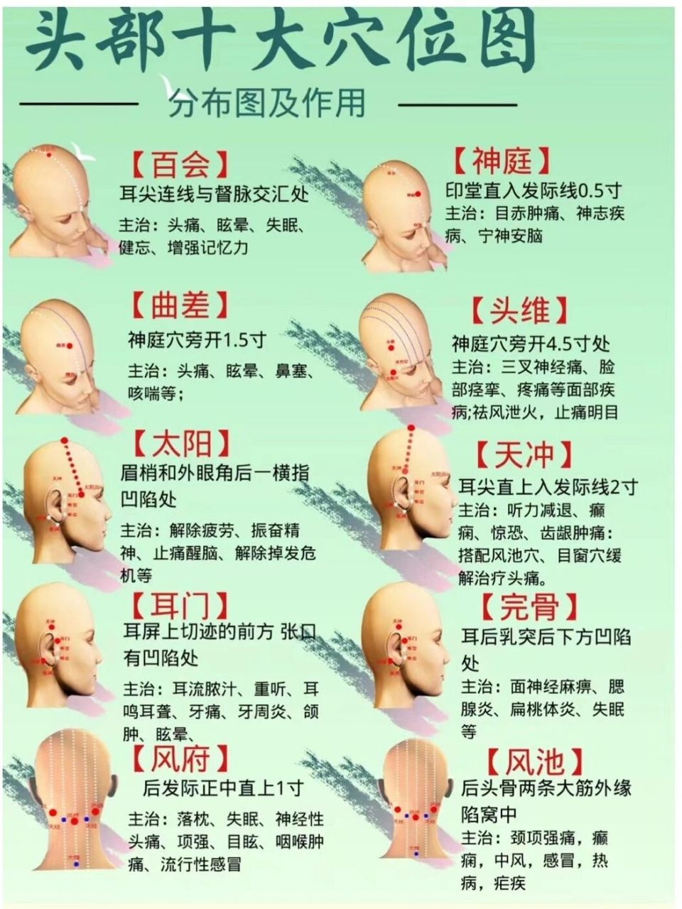 头部穴位图  头部穴位你们了解多少如何去改善问题和保养,你们都懂吗