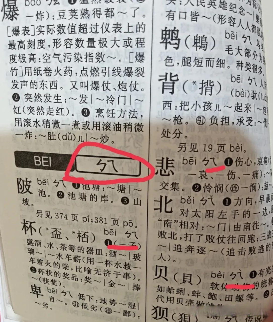 蜷曲的注音是什么