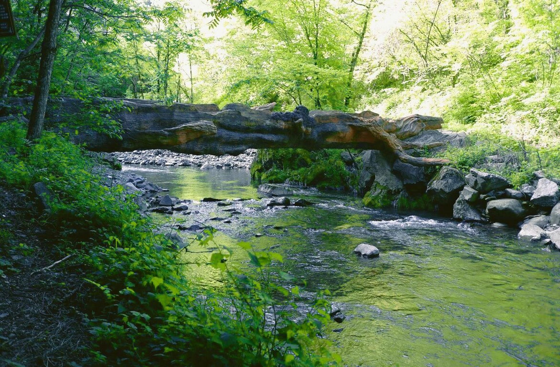 2号安康平利天书峡一日游旅游攻略 早7:00在指定地点集合,统一乘车