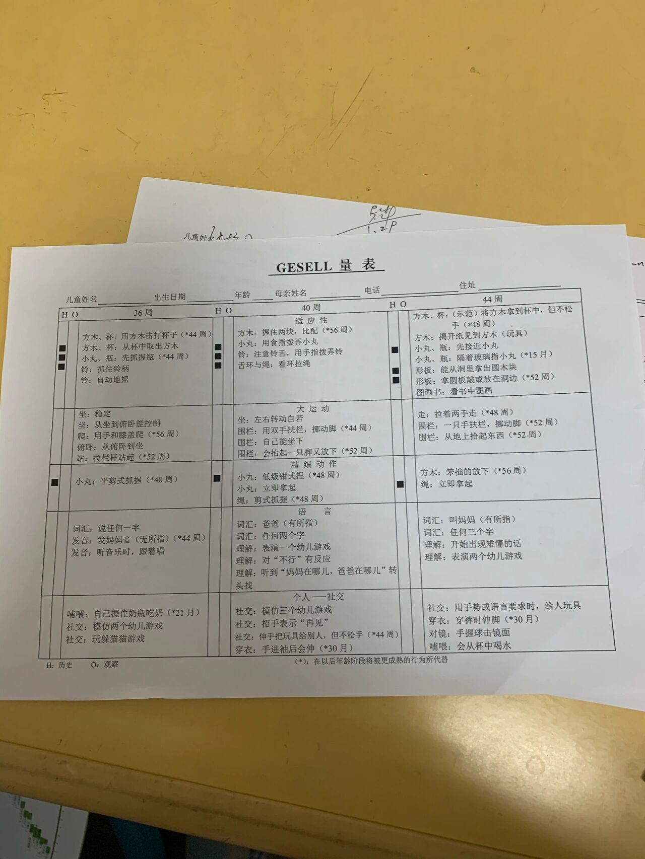 盖赛尔发育量表图片