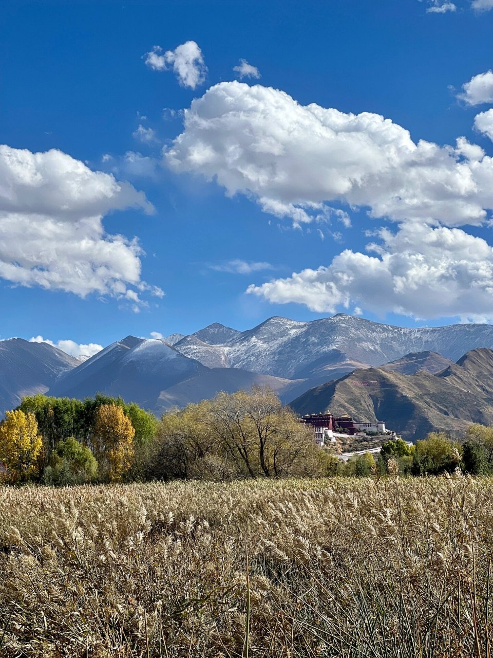 拉鲁湿地半日游 11月拉鲁湿地公园就不再对外开放了 再想进去徒步