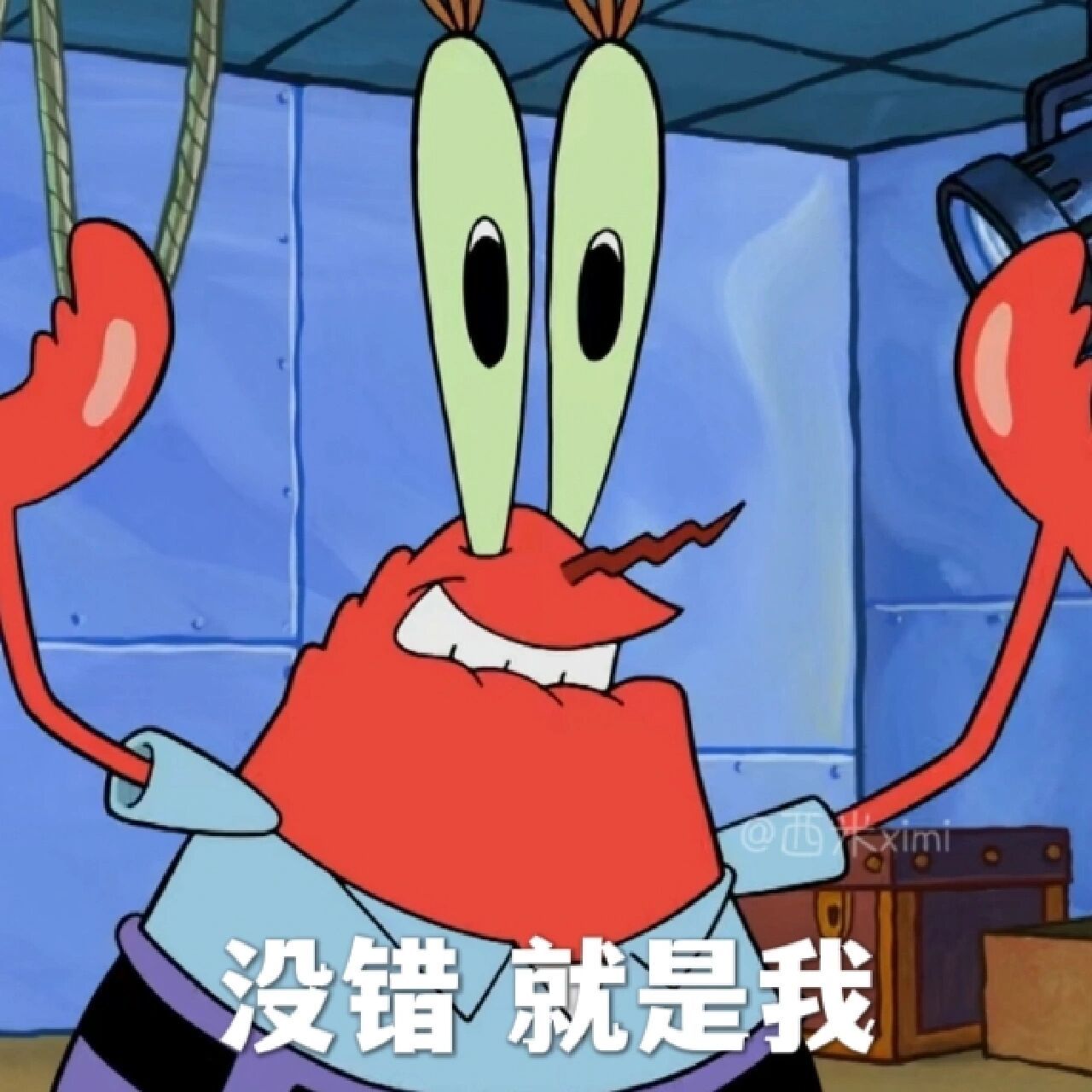 🦀也是比奇堡表情扛把子～ 主页还有海绵宝宝🧽,章鱼哥🐙