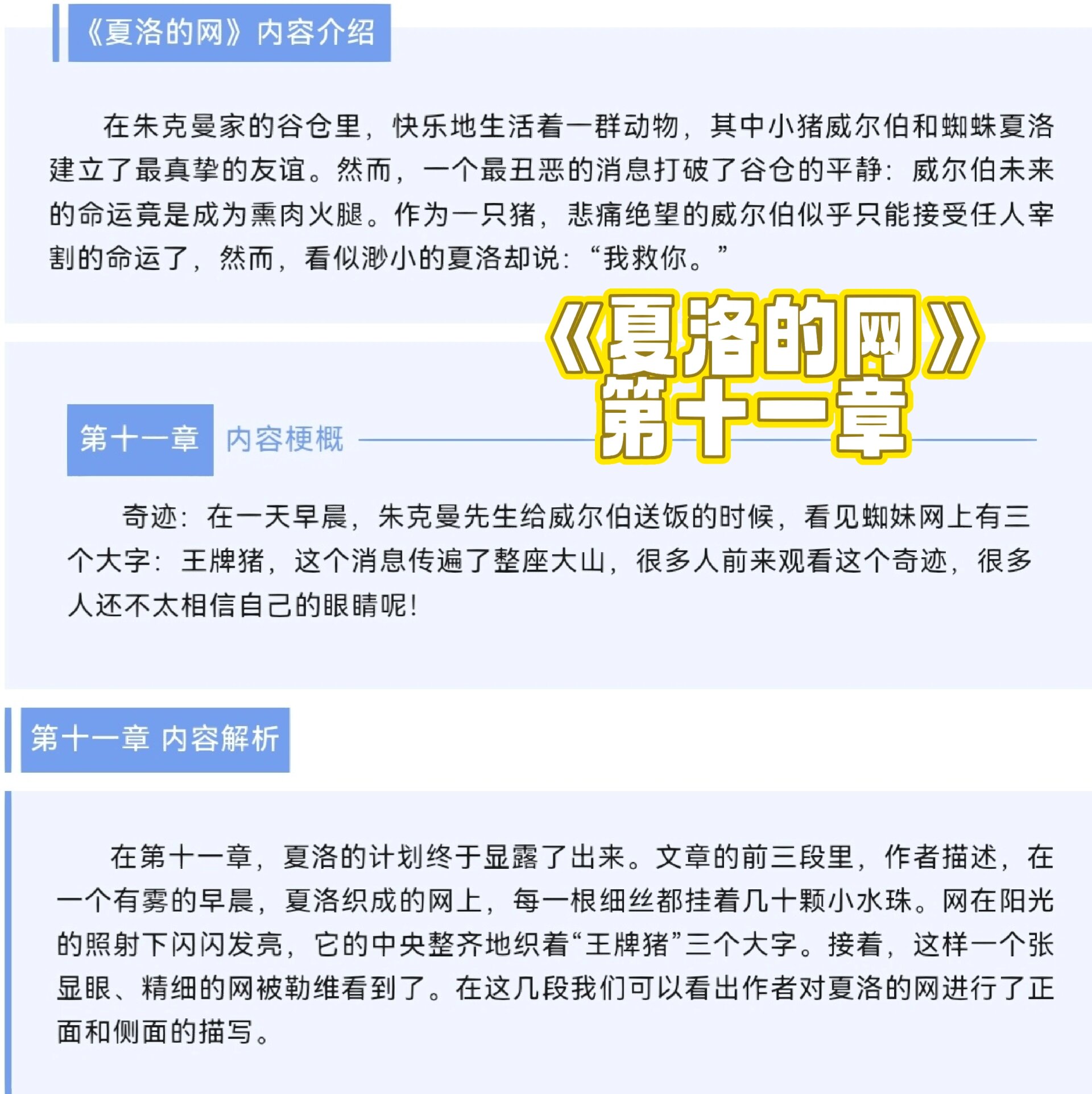 夏洛的网作者介绍图片