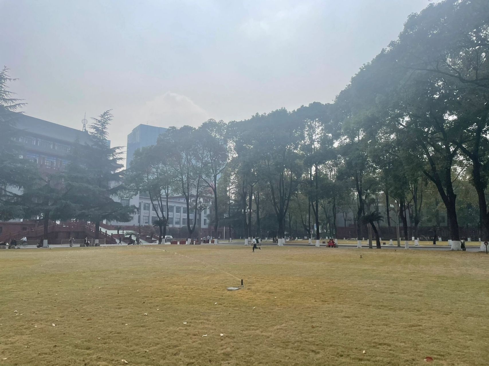 川大望江校区可进了 早就想带小朋友进川大感受下大学的氛围.