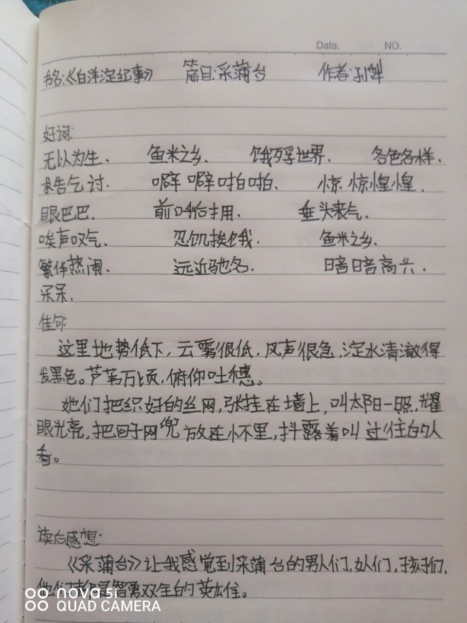白洋淀纪事 读书笔记