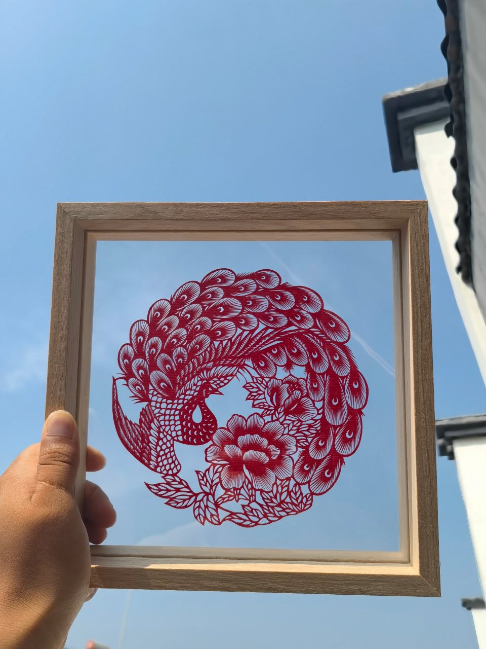 剪纸·孔雀 用剪刻结合的方法制作而成,刻刀雕刻线条细小图案, 剪刀剪