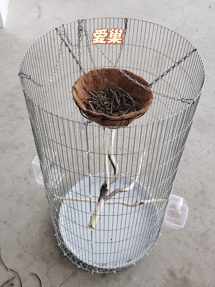 自制鸟笼 用做鹦鹉笼剩下的网 做了个笼子给蜡嘴雀