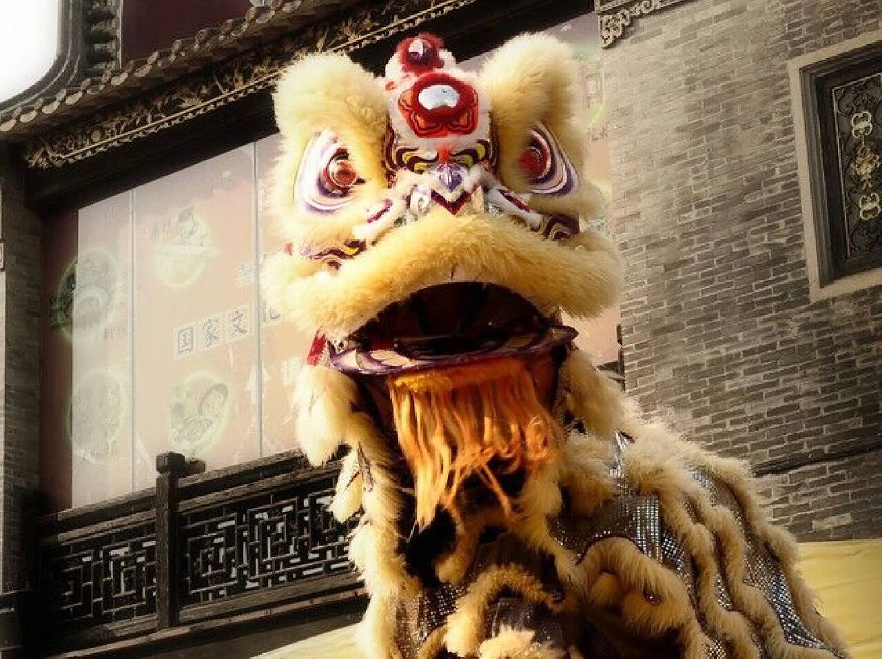 醒狮,属于中国狮舞中的南狮.