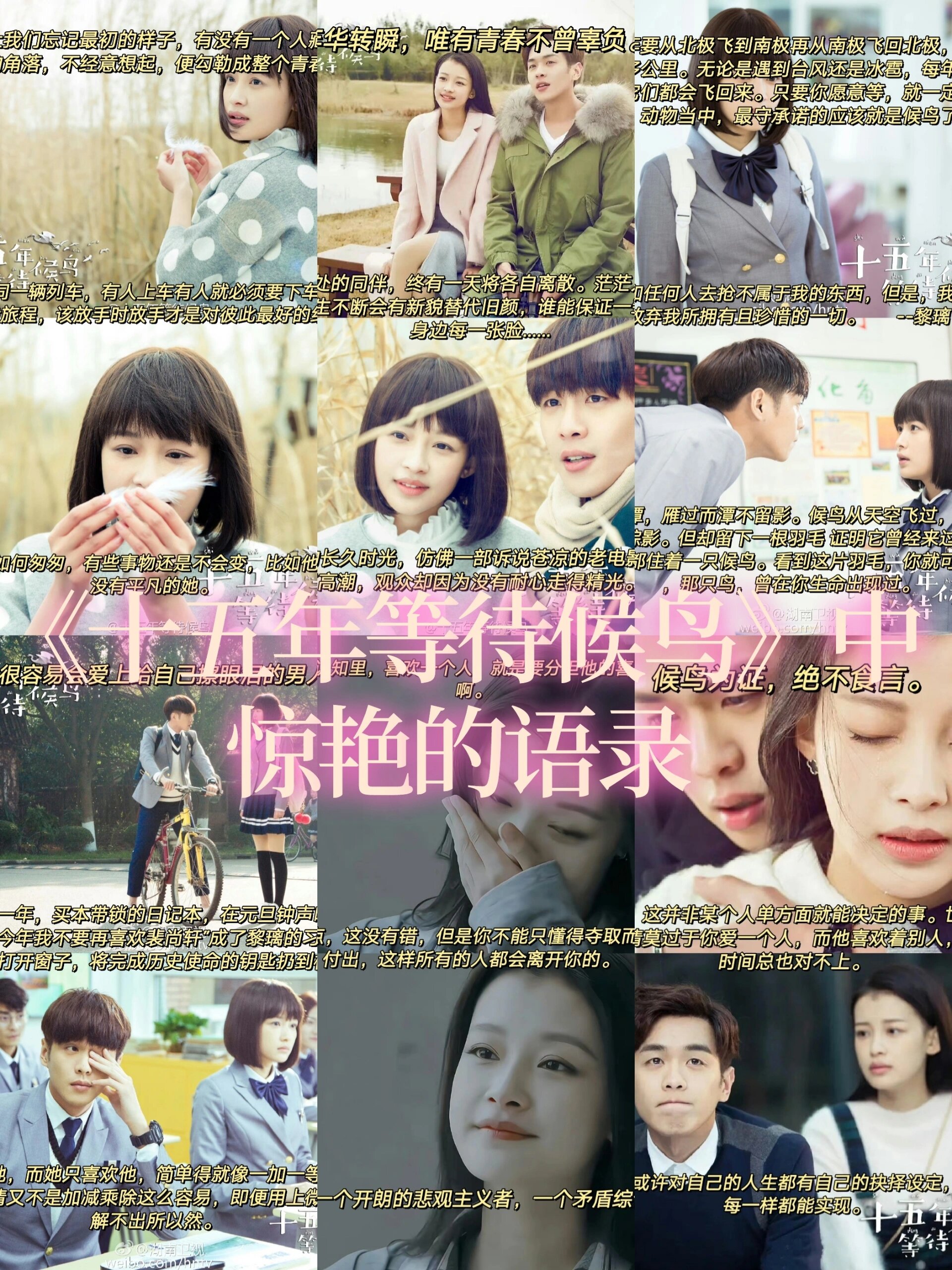 《十五年等待候鸟》中的惊艳文案