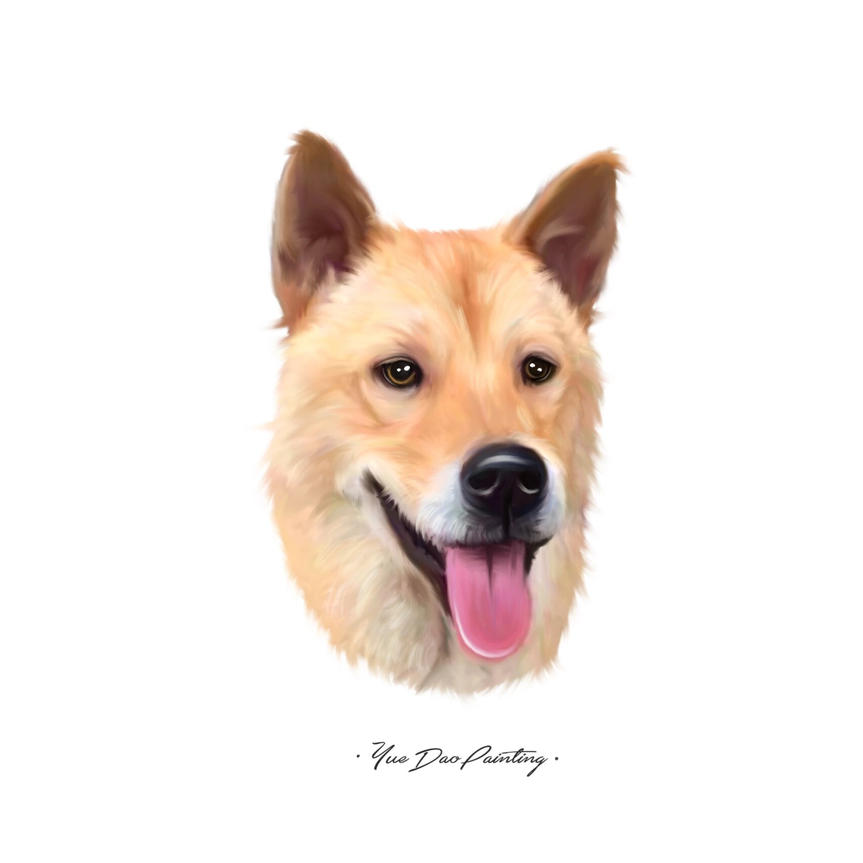 宠物头像/你们要的中华田园犬来了!(原创