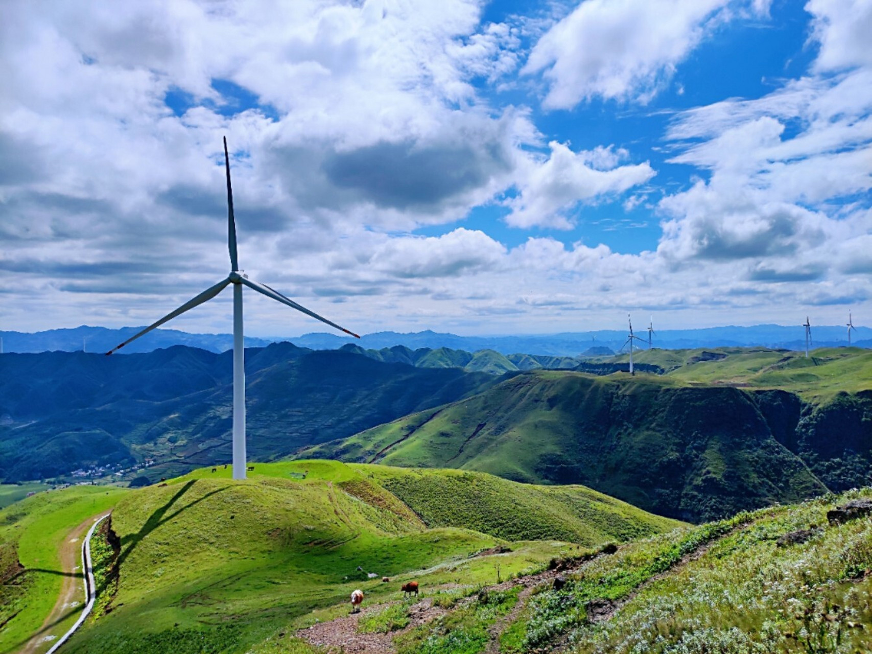 韭菜坪  天上花海,贵州海拔最高的地方,近2770-2900多米,每年8月底,9