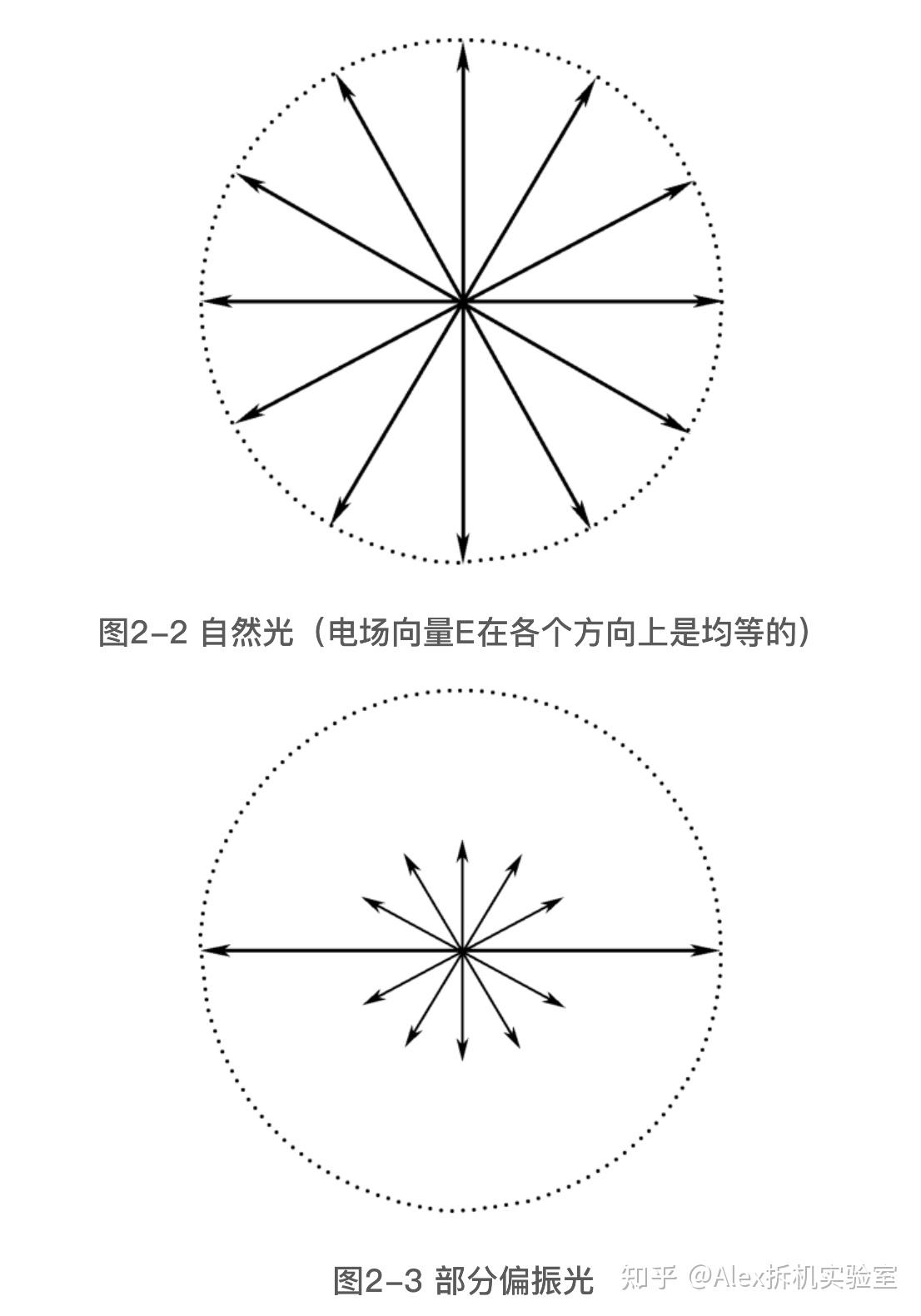 完全偏振光图片